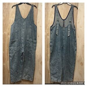 We The Free Blue Denim Overalls